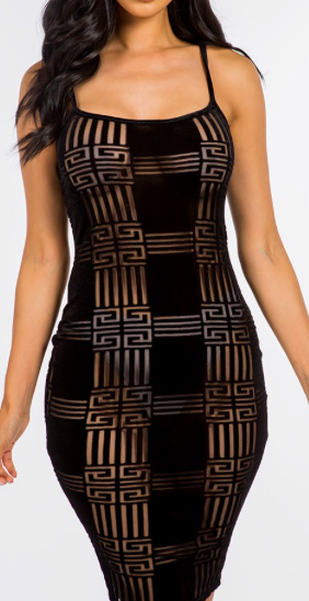I See You Mesh Mini Dress